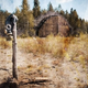 Illustration for article titled Gamers Play Fallout — In the Real World